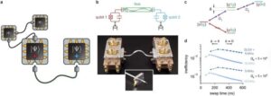 researchers-unveil-modular-quantum-network-for-superconducting-qubits