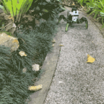 revolutionary-sensor-could-transform-robotic-vision-systems