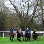 saint-bibiana-aims-for-fourth-straight-win-at-uttoxeter