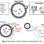 scientists-develop-groundbreaking-artificial-cell-for-chemical-navigation