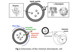 scientists-develop-groundbreaking-artificial-cell-for-chemical-navigation
