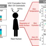 skin-oil-and-ozone-unseen-factors-in-indoor-air-quality