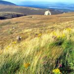 solo-travel-surge-should-you-explore-the-world-alone-now-