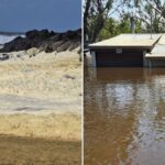 south-australia-allocates-14-million-to-combat-toxic-algae-crisis