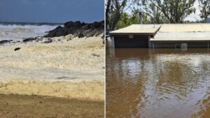 south-australia-allocates-14-million-to-combat-toxic-algae-crisis
