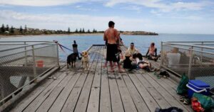 south-australia-tourism-faces-crisis-amid-algal-bloom-damage