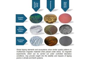 study-reveals-ecosystem-collapse-mirrors-magnetic-material-behavior