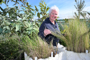sunbury-gears-up-for-urgent-tree-planting-event-on-july-27