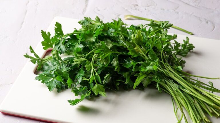 supermarket-herbs-revolutionized-last-longer-thrive-now-
