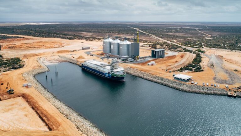 t-ports-launches-250m-sale-of-sa-grain-port-amid-industry-growth