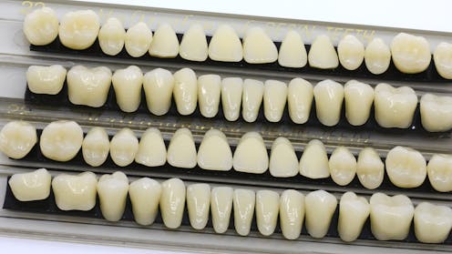 teeth-reveal-climate-and-diet-histories-through-advanced-science