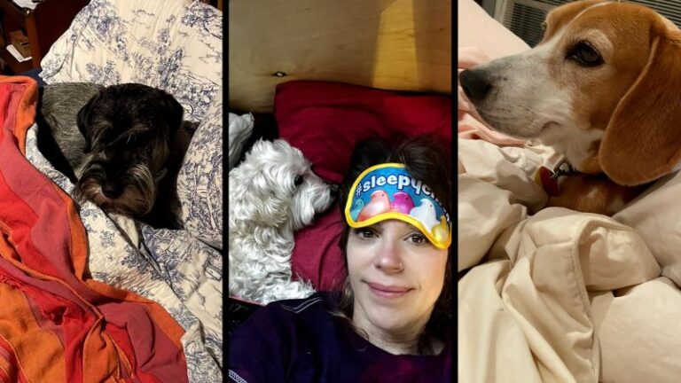 the-debate-over-pets-in-bed-health-benefits-and-drawbacks-explored