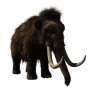the-fascination-with-de-extinction-woolly-mammoths-on-the-horizon