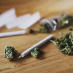 understanding-cannabis-use-disorder-signs-and-risks-explained