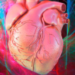 understanding-the-rarity-of-heart-cancer-insights-from-experts