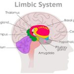 understanding-unique-walking-patterns-in-autistic-individuals