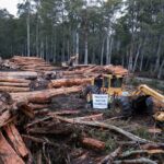 urgent-forest-defenders-occupy-third-logging-site-in-tasmania
