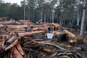 urgent-forest-defenders-occupy-third-logging-site-in-tasmania