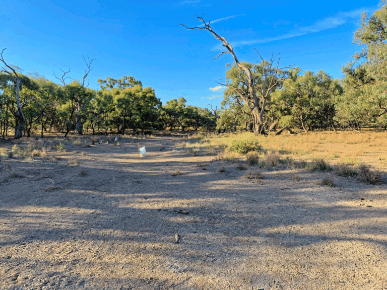 urgent-research-reveals-wetland-restoration-slashes-emissions