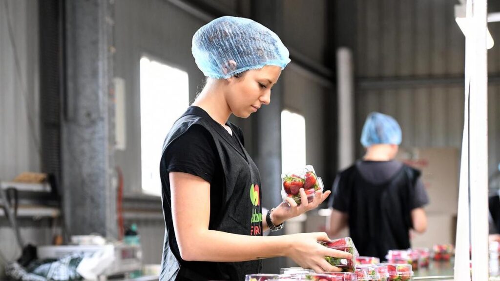 urgent-update-new-laws-to-secure-penalty-rates-for-2-6m-workers