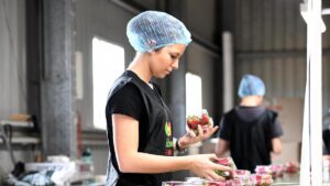 urgent-update-new-laws-to-secure-penalty-rates-for-2-6m-workers