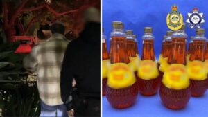 urgent-update-sniffer-dogs-discover-liquid-meth-in-shipment