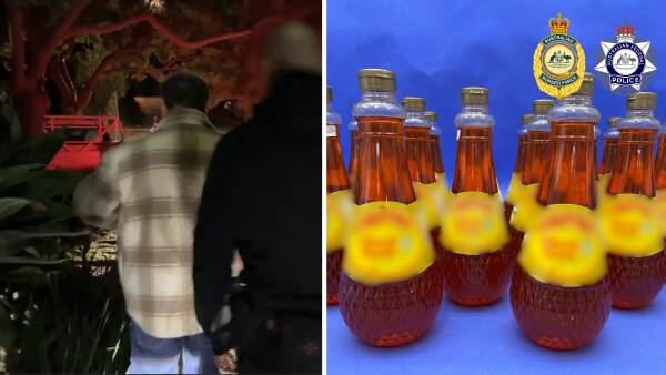 urgent-update-sniffer-dogs-discover-liquid-meth-in-shipment