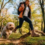 veterinary-expert-warns-of-heatstroke-risks-for-pets-as-temperatures-rise