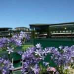wimbledon-2025-quarter-finals-key-matches-and-players-to-watch