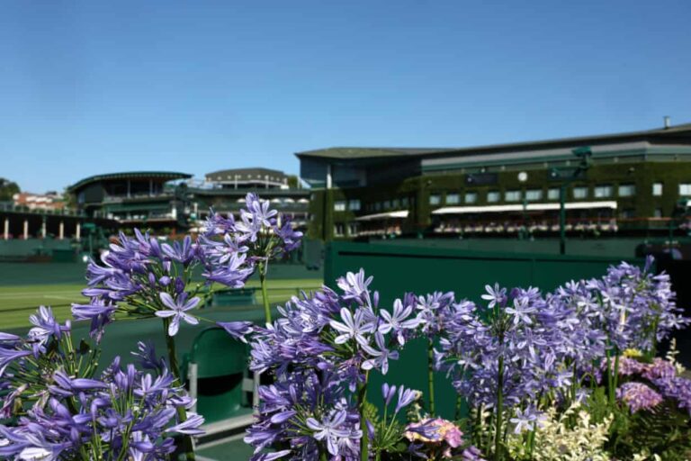 wimbledon-2025-quarter-finals-key-matches-and-players-to-watch