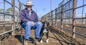 91-year-old-lenny-peeck-reflects-on-a-lifetime-of-cattle-trading