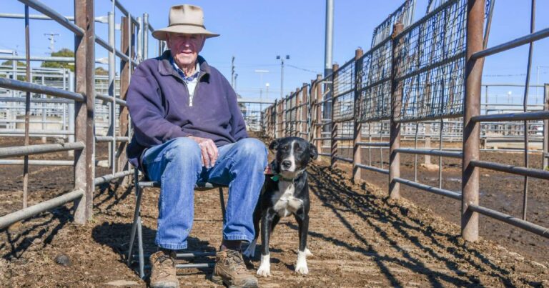 91-year-old-lenny-peeck-reflects-on-a-lifetime-of-cattle-trading