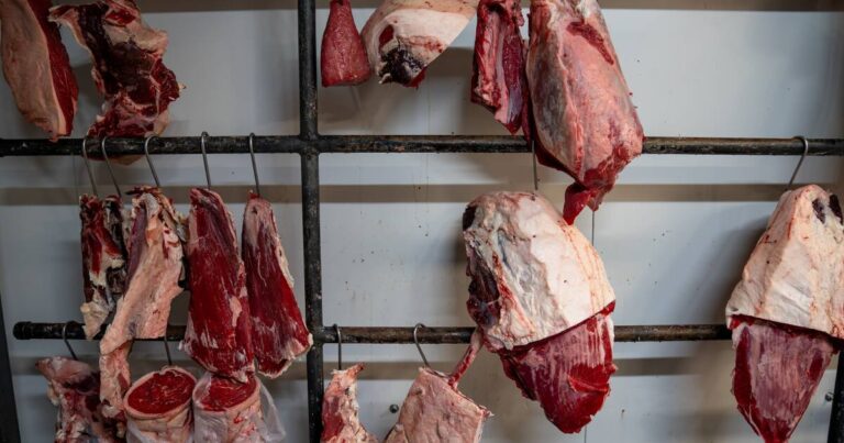 academics-propose-controversial-allergy-inducing-ticks-to-curb-meat-consumption