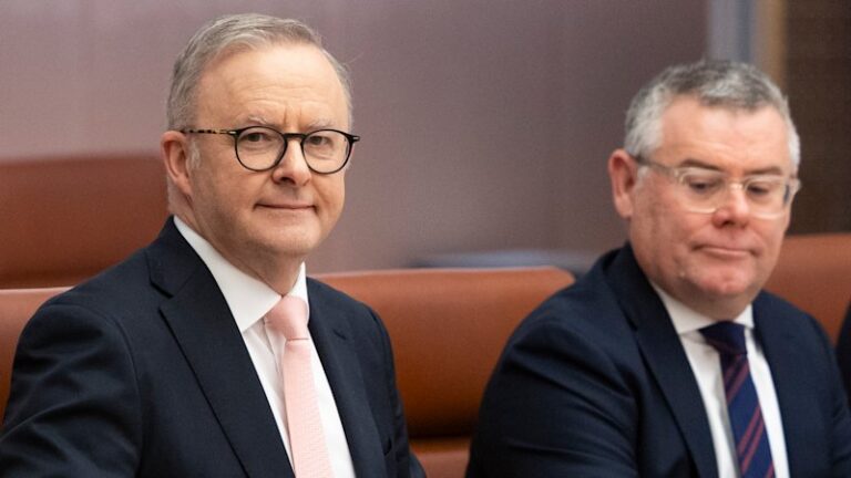 albanese-accelerates-overhaul-of-environment-laws-before-deadline