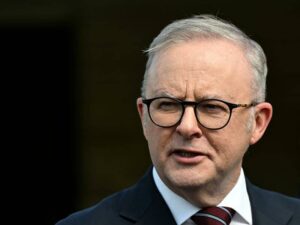 albanese-s-approval-rises-as-support-for-statehood-divided