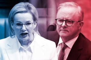 albanese-s-labor-party-sees-surge-in-support-post-election