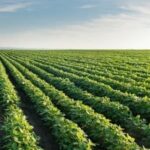 american-farmland-prices-surge-to-record-highs-in-2024
