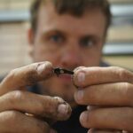archaeologists-uncover-stone-age-settlements-beneath-danish-waters