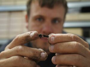 archaeologists-uncover-stone-age-settlements-beneath-danish-waters