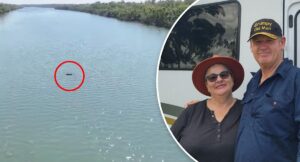 aussie-couple-captures-stunning-crocodile-feast-in-river