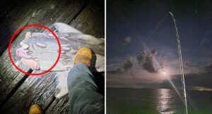 aussie-fisherman-discovers-severed-shark-off-sorrento-pier