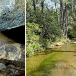 aussie-mum-unearths-340-million-year-old-fossils-in-nsw-creek