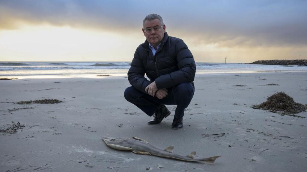 australia-calls-for-tough-epa-to-enforce-environmental-laws