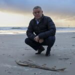 australia-calls-for-tough-epa-to-enforce-environmental-laws
