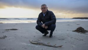 australia-calls-for-tough-epa-to-enforce-environmental-laws