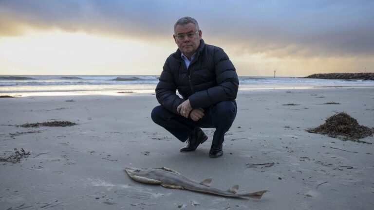 australia-calls-for-tough-epa-to-enforce-environmental-laws