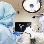 australian-grandmother-receives-first-robotic-shoulder-surgery