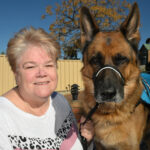 barkly-the-service-dog-finalist-in-oztopdog-awards-vote-now-
