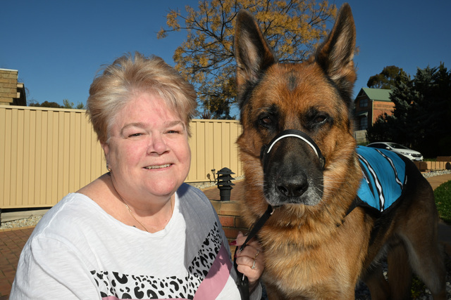 barkly-the-service-dog-finalist-in-oztopdog-awards-vote-now-