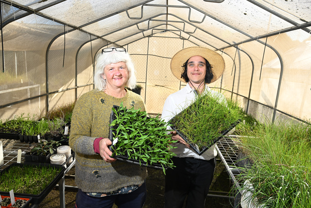 brimbank-residents-to-plant-1-500-wildflowers-this-sunday